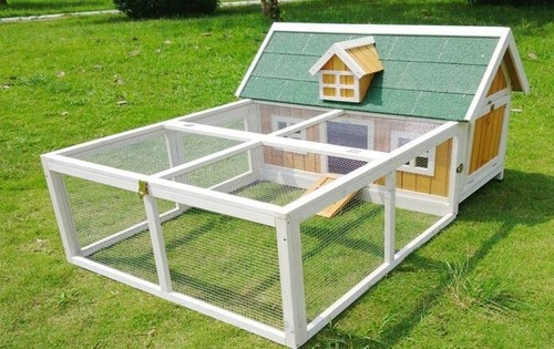 Chicken coop plus run - chicken,