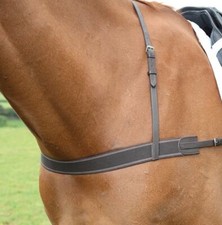 Shires Velociti Gara Elastic