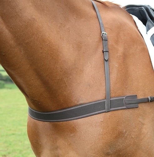 Shires velociti gara elastic - shires,