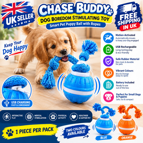Chase buddy dog boredom - chase,