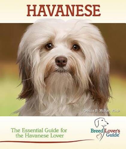 Havanese the essential - havanese:, guide