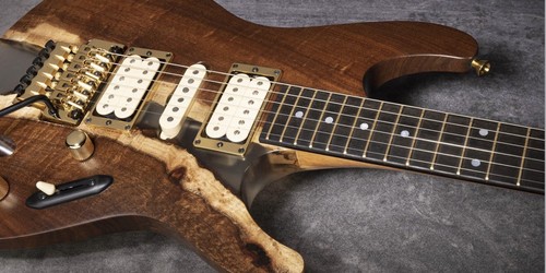 Ibanez jpcs25 koa canyon - jpcs25,