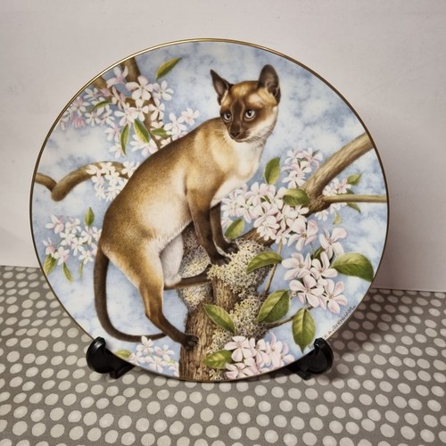 Royal stafford bone china - royal,