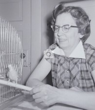 Woman Budgie Parakeet Cage