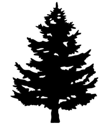 Pine tree vinyl decal - vinyl,
