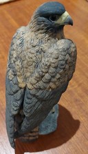 PEREGRINE FALCON The Leonardo