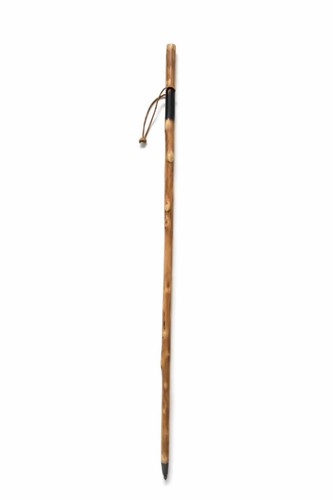 Rustic polished wooden walking - polished,