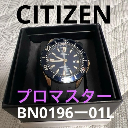 Citizen promaster diver watch - diver,