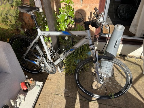 Giant terrago hardtail - terrago,