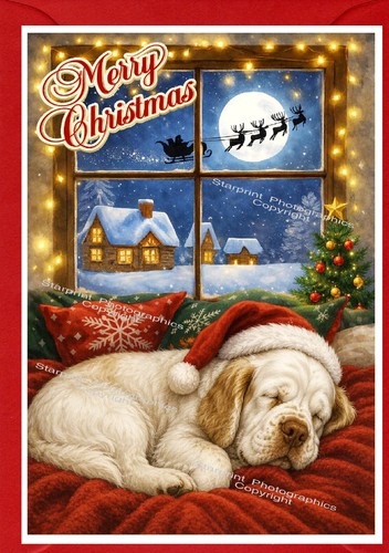 Clumber spaniel dog 4 - spaniel, a6