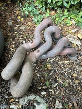 Ford Focus Mark 1 St170 Exhaust Manifold 