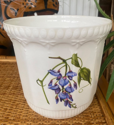 Aynsley bone china chelsea - bone,