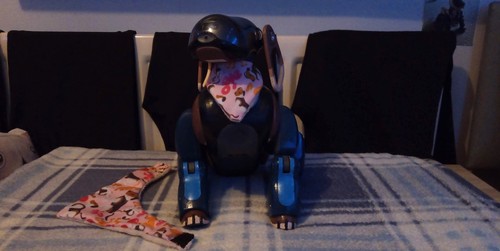 Sony aibo set - set, custom