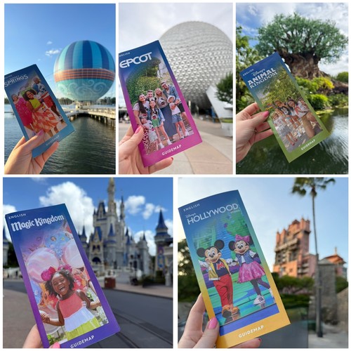 Disney world park - world, (newest