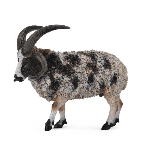 Collecta jacob sheep - jacob,
