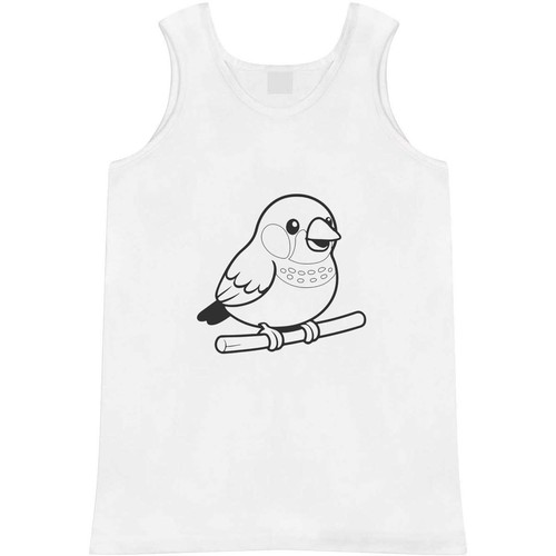 Zebra finch adult - finch',