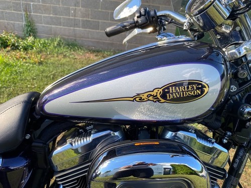 2009 harley davidson xl1200 - 2009, c