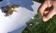 Fresnel Magnifying Lens for