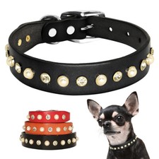 Studded Leather Dog Collar