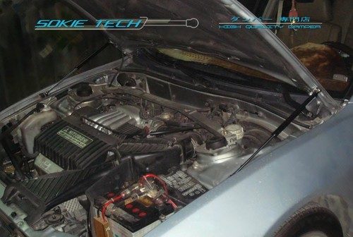 Carbon fiber strut shock - fiber,