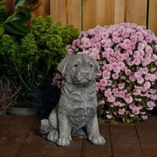 Rottweiler Puppy Stone Cast