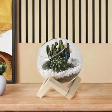 Glass Flower Pot Unique