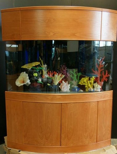 155 gallon corner aquarium - corner,