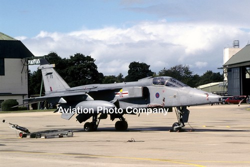 Raf squadron sepecat - 41, jaguar
