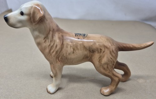 Golden labrador dog - golden, ornament