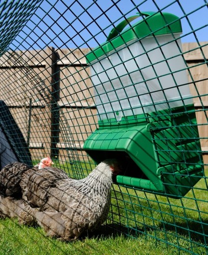 Poultry feeder 10kg - feeder, 10kg,