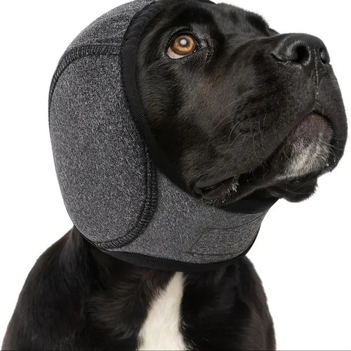 Noise canceling pet - pet, muffs