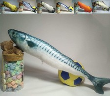 Catnip Fish Toys for Indoor