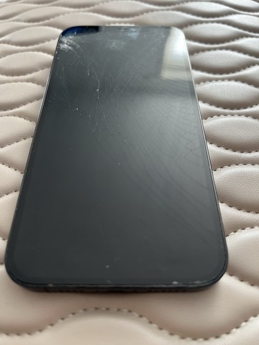 Iphone pro max 256gb - 12,