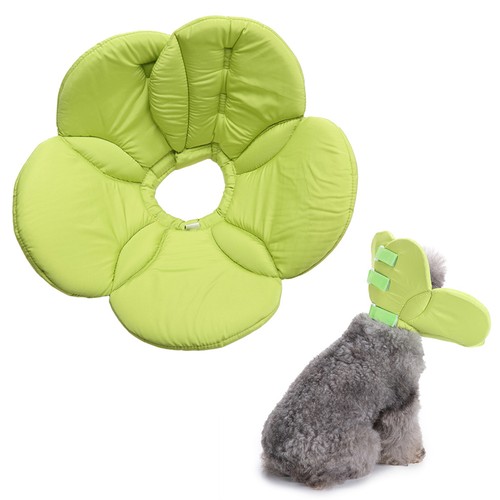 Buster collar for cats - buster,