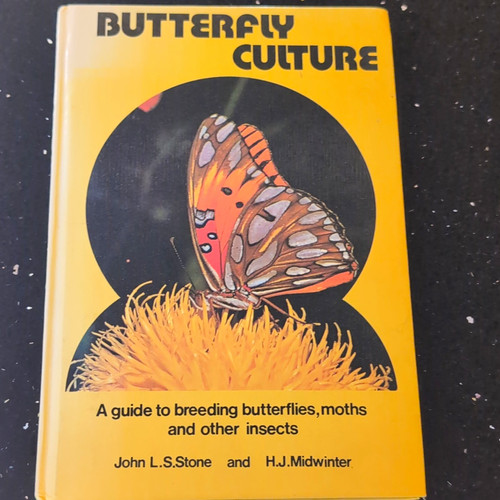 Butterfly culture stone - culture,