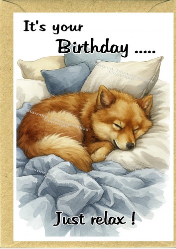 Finnish spitz dog - finnish, 6")