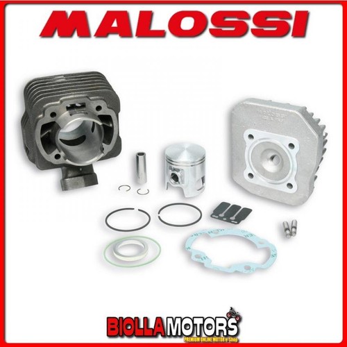 317133 cylinder malossi - malossi, 70cc