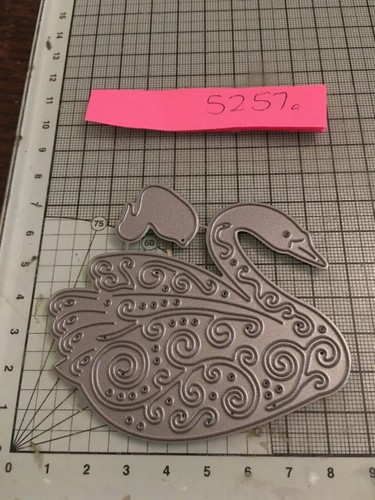 Tattered lace swan and cygnet - and,