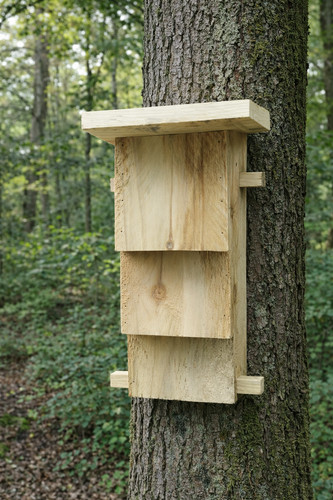 Bat box wooden rustic - box,