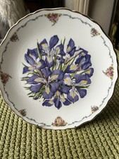 Royal Albert Collectors Plate
