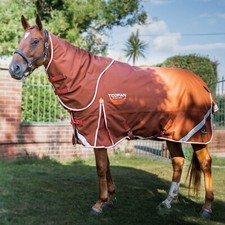 Gallop SALE PRICE Toofan Dual