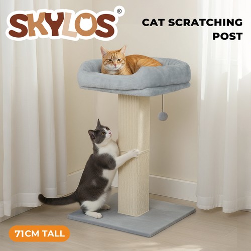 Skylos cat tree activity - skylos,