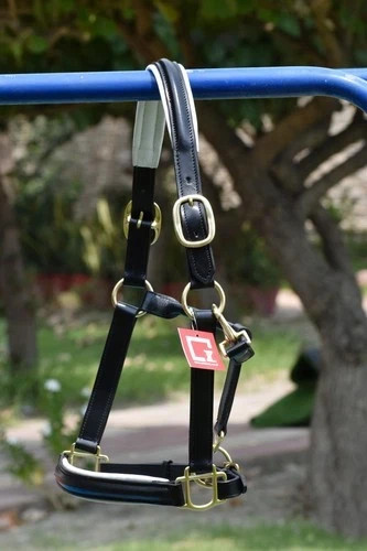 Leather head collar black - collar, black/