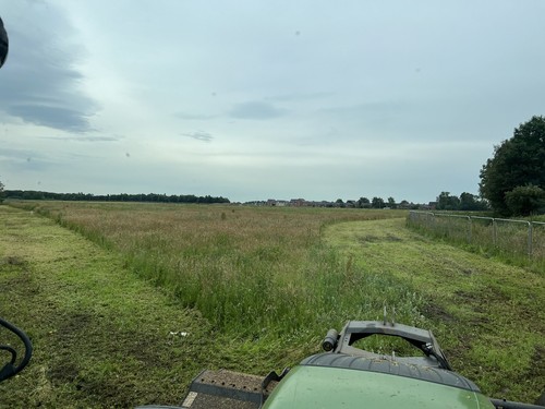 Flail mowing and paddock - and,