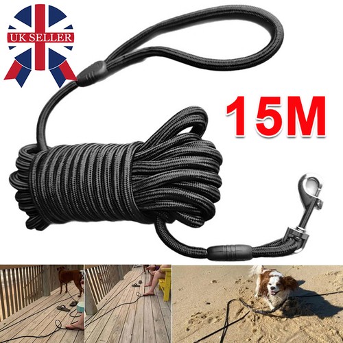 15m pet dog - training, lead