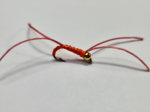Orange apps bloodworm - x,