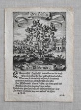 1626 German Emblem Book