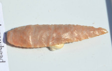 HIGH GRADE PREHISTORIC/