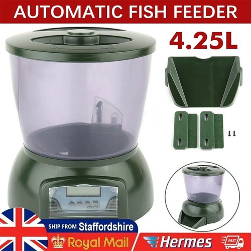 Automatic pond fish - fish, feeder