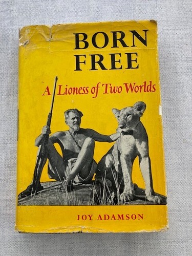 Born free lioness of - -, two